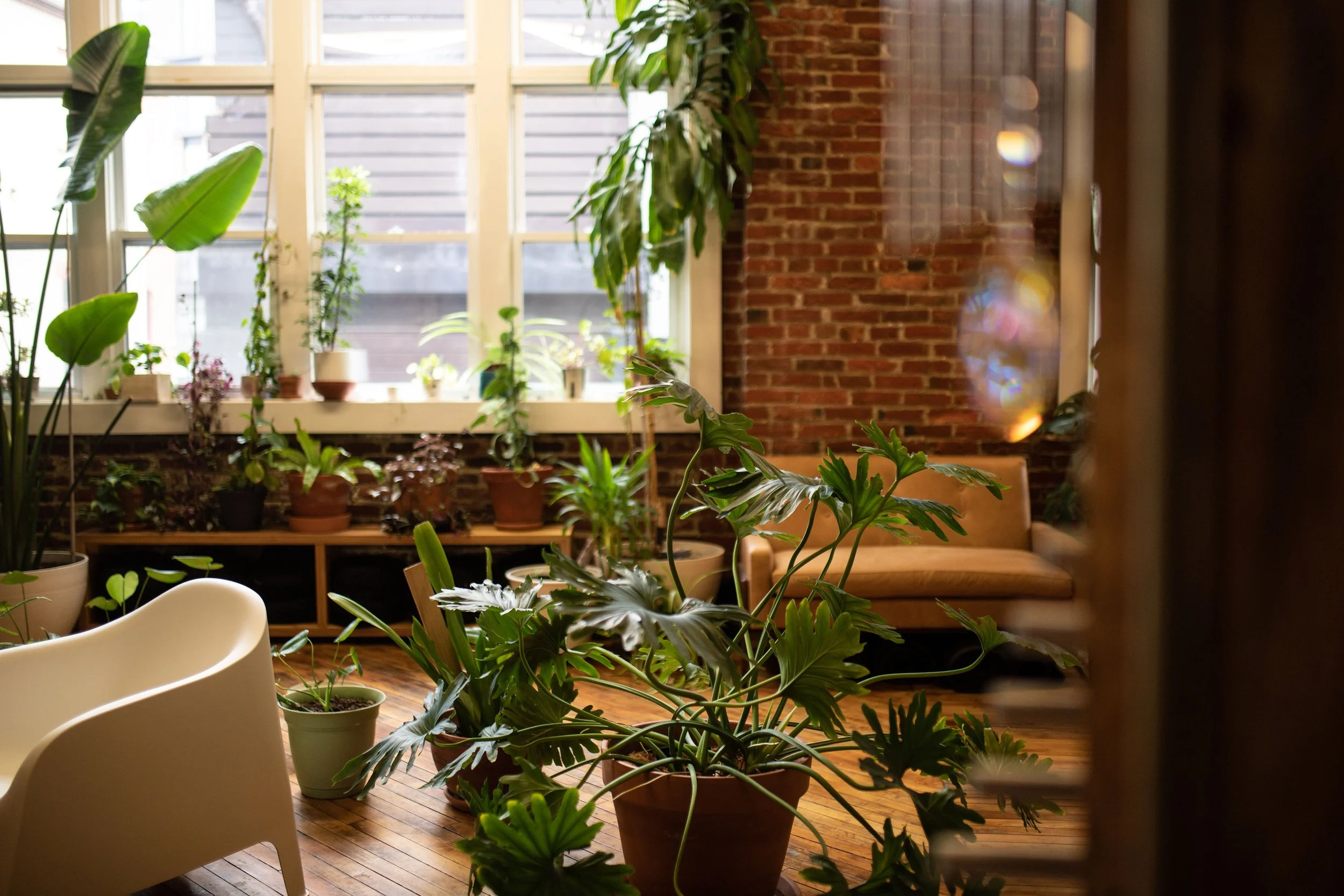 Formation Sauna + Wellness — photo 3