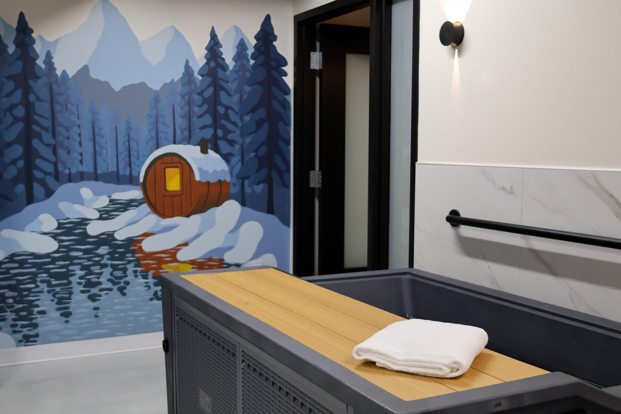 Immersion Sauna & Cold Plunge — photo 2