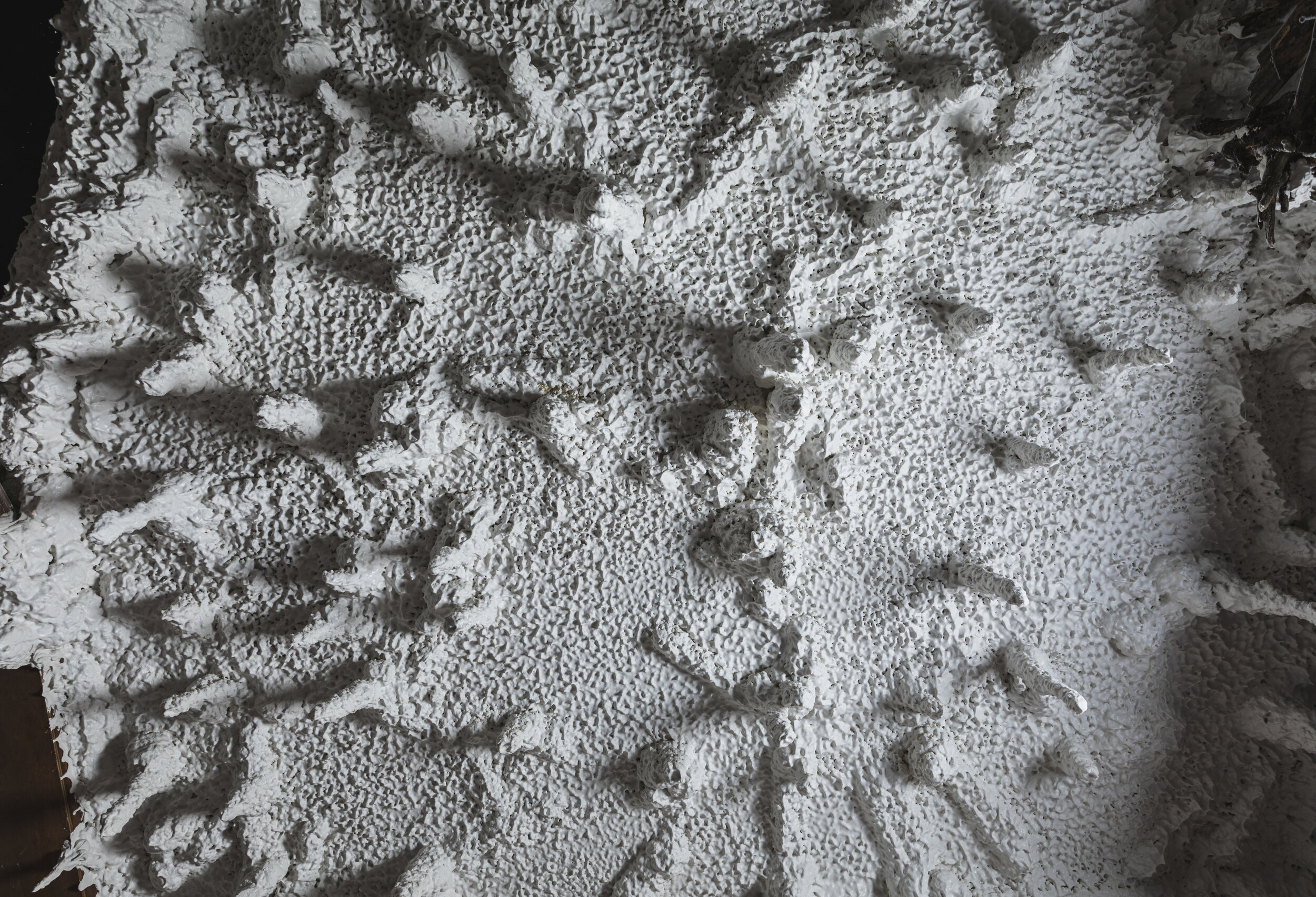 Indianapolis Salt Cave and Halotherapy Center — photo 3