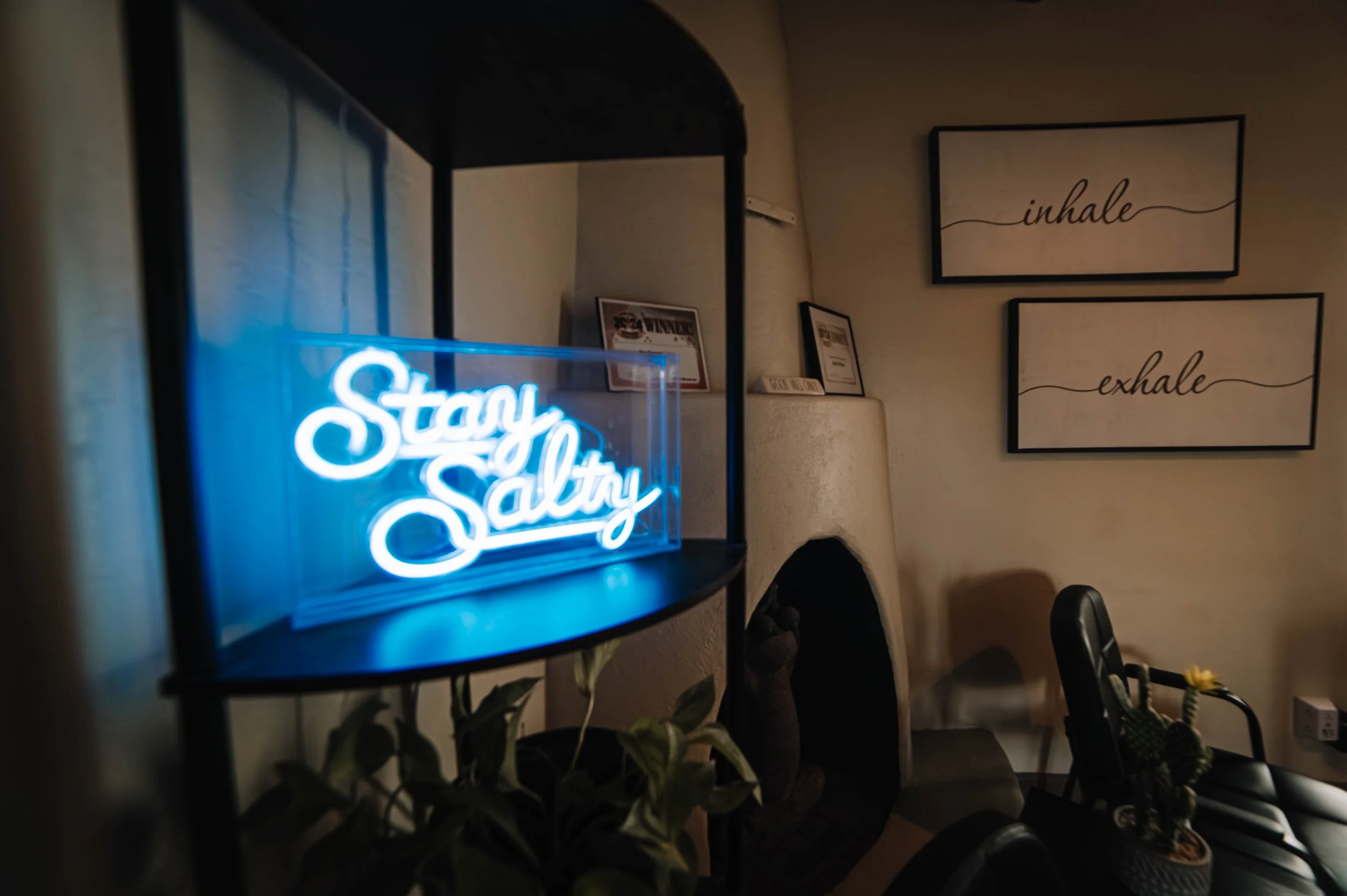 Levity Wellness — photo 2