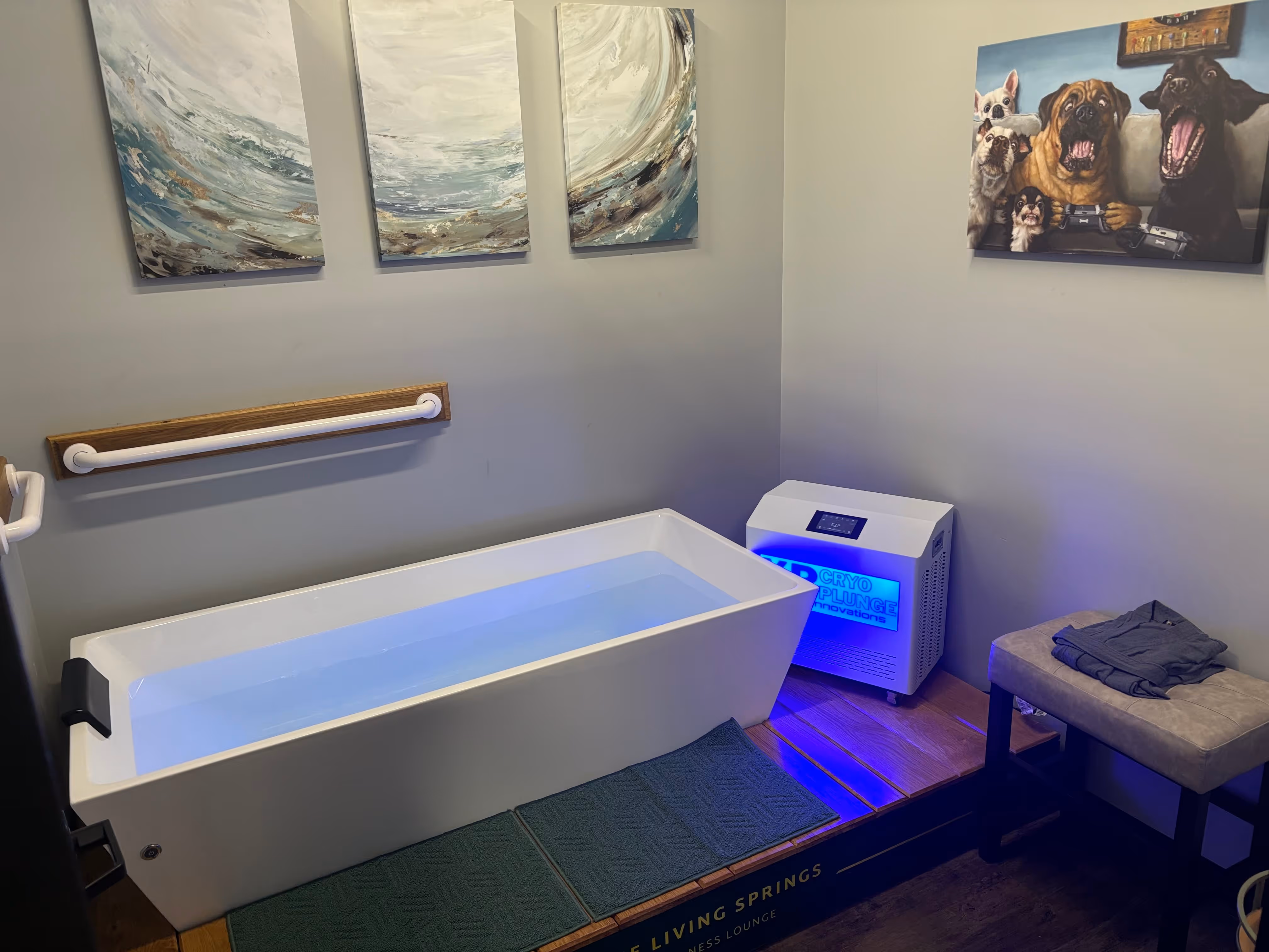 The Living Springs — photo 3