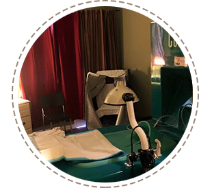 The Root Chakra / South Bay Holistic Spa — recovery studio in San Jose, CA