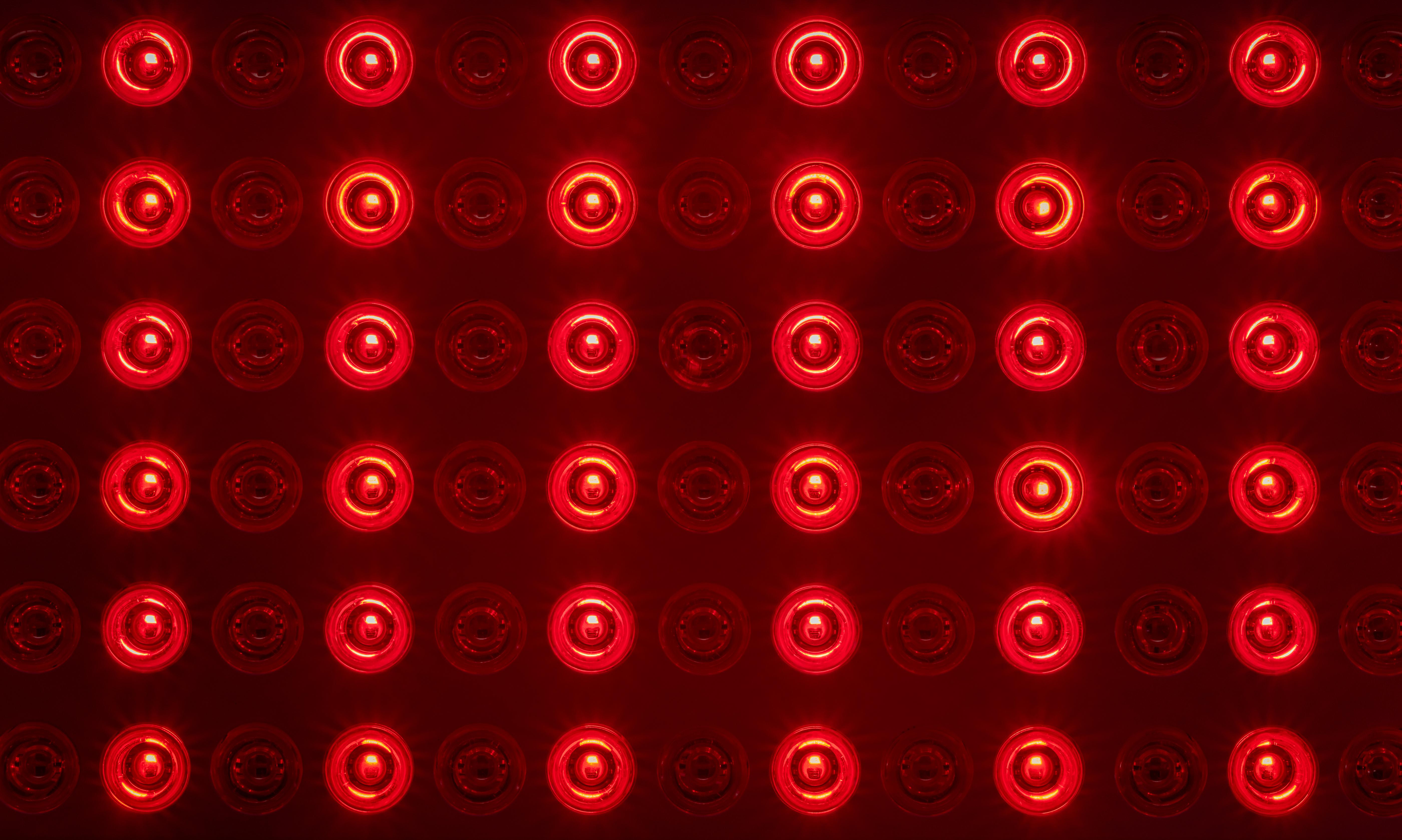 Vitality Sol — photo 2
