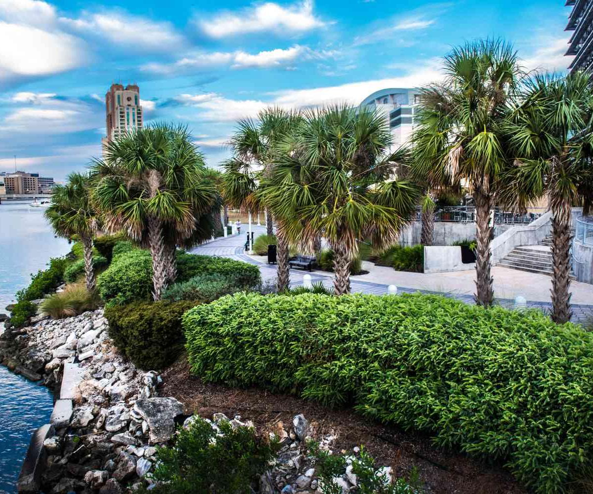 Hydralive Therapy Tampa — recovery studio in Tampa, FL