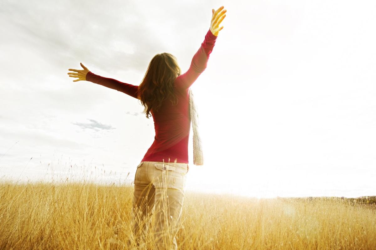 WD Recovery & Wellness Center — recovery studio in Phoenix, AZ