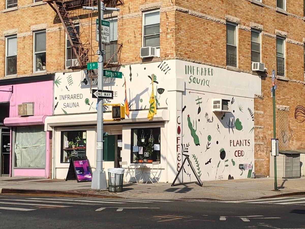 Planted Living & Wellness — recovery studio in Brooklyn, NY