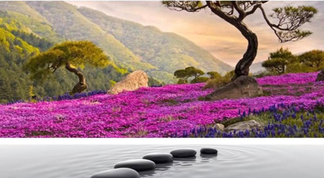 Lotus Spa & Sauna — recovery studio in Clearwater, FL