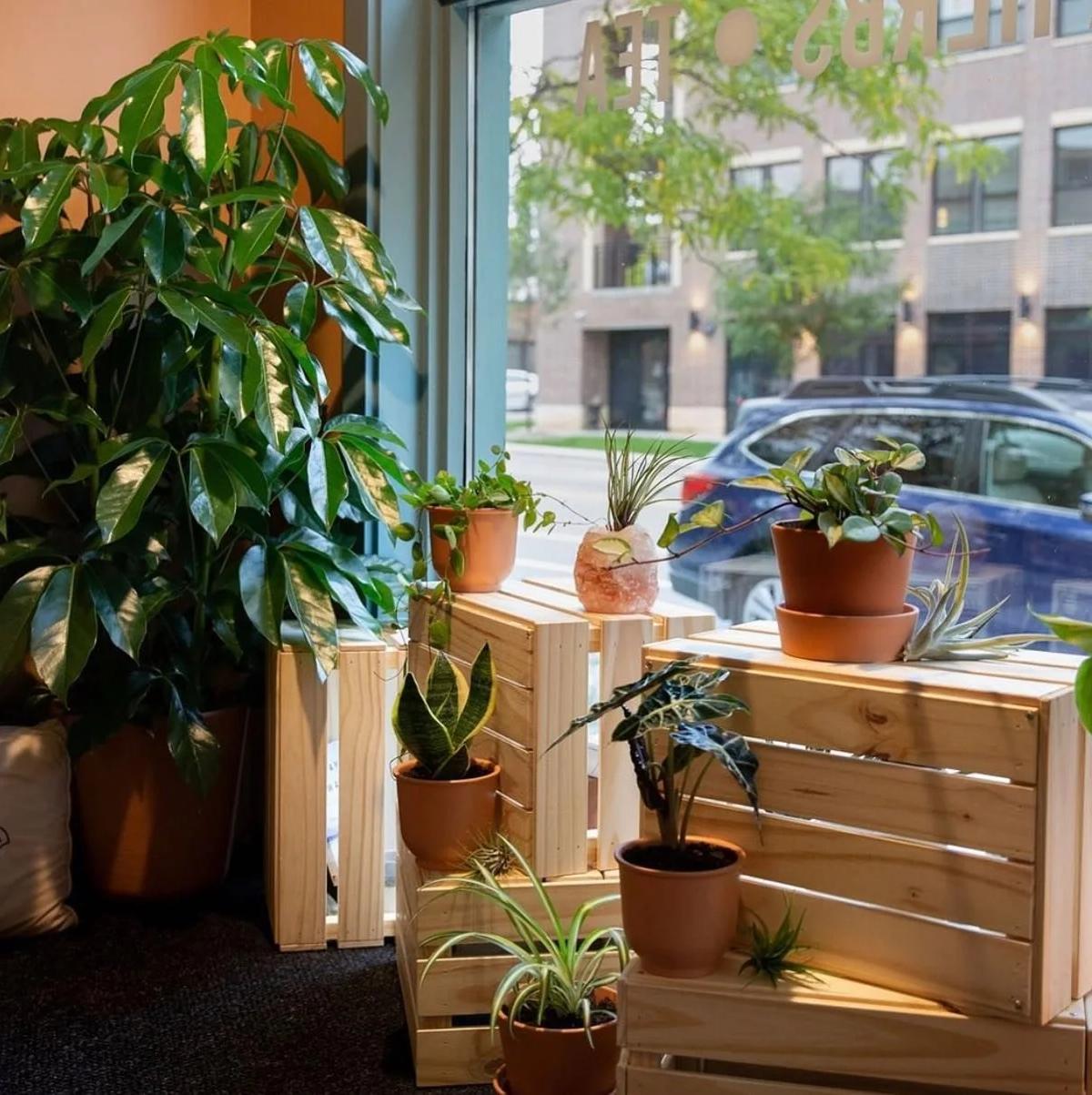 Carpe Diem Studio - Como Ave — recovery studio