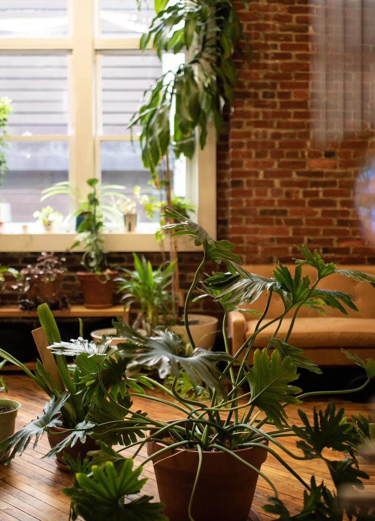 Formation Sauna + Wellness — photo 3