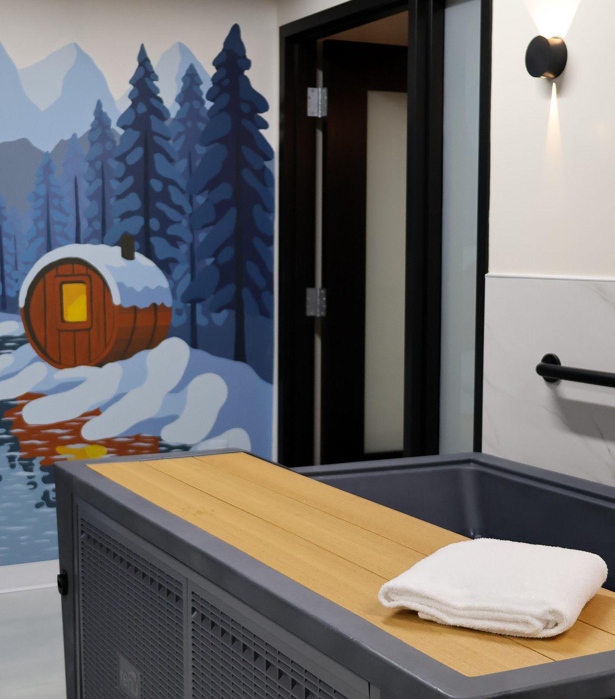 Immersion Sauna & Cold Plunge — photo 2