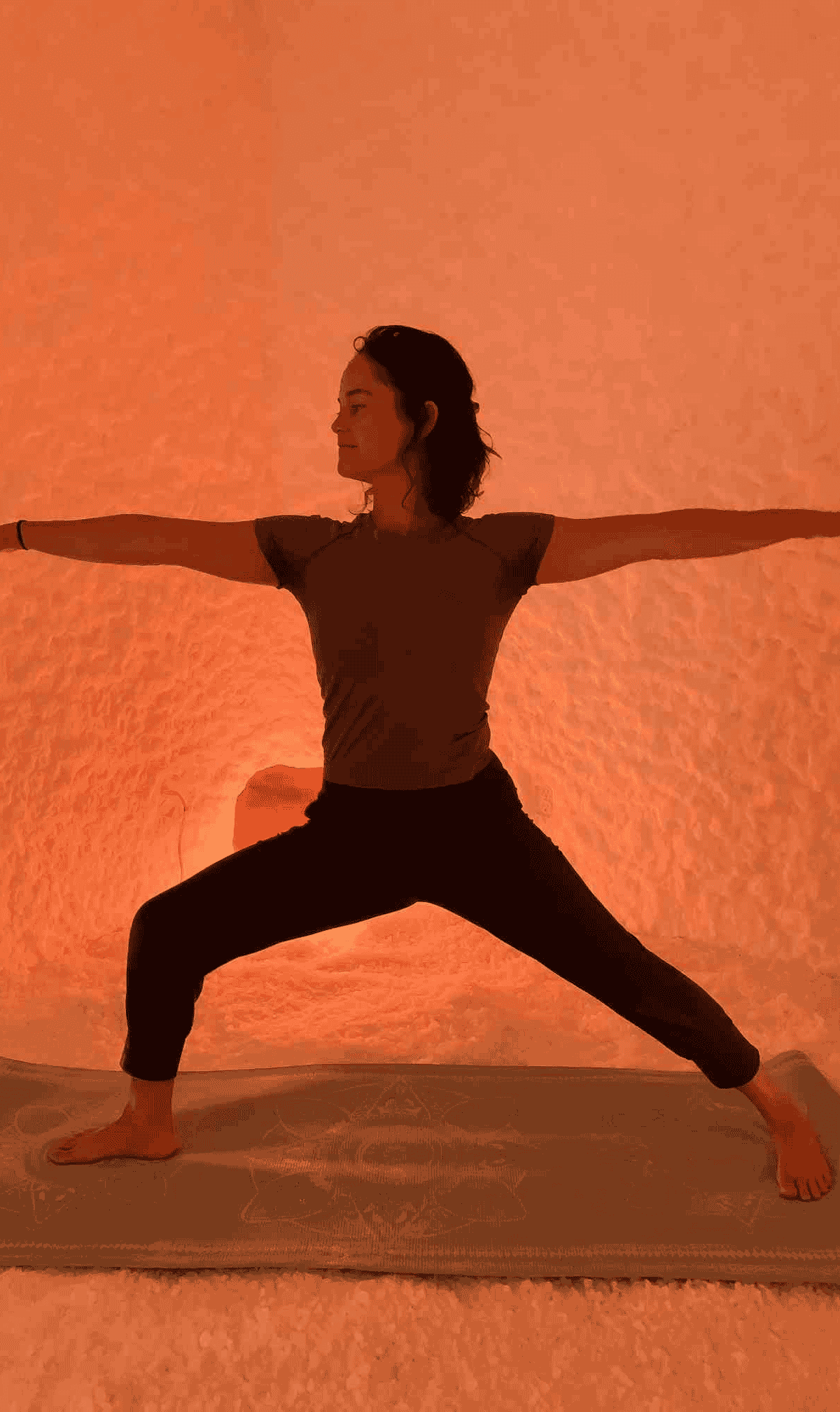 The Salt Room Oviedo — recovery studio
