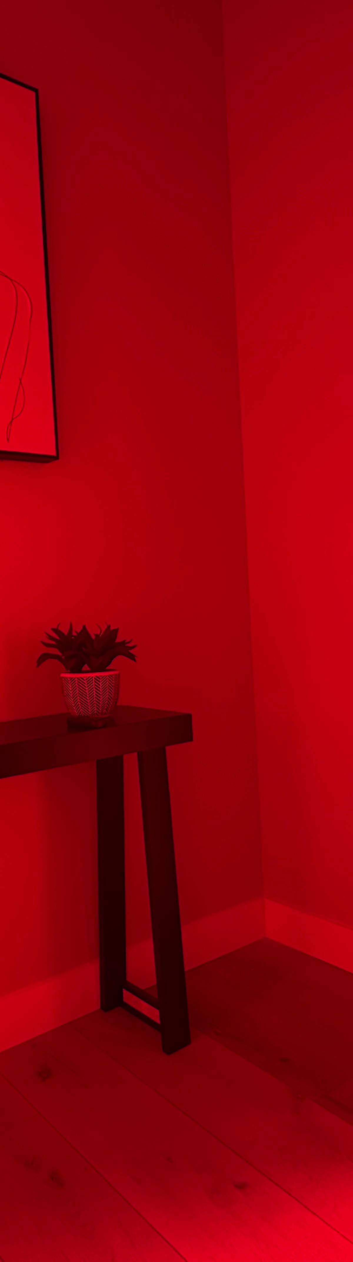 Vitalize Wellness Lounge — recovery studio
